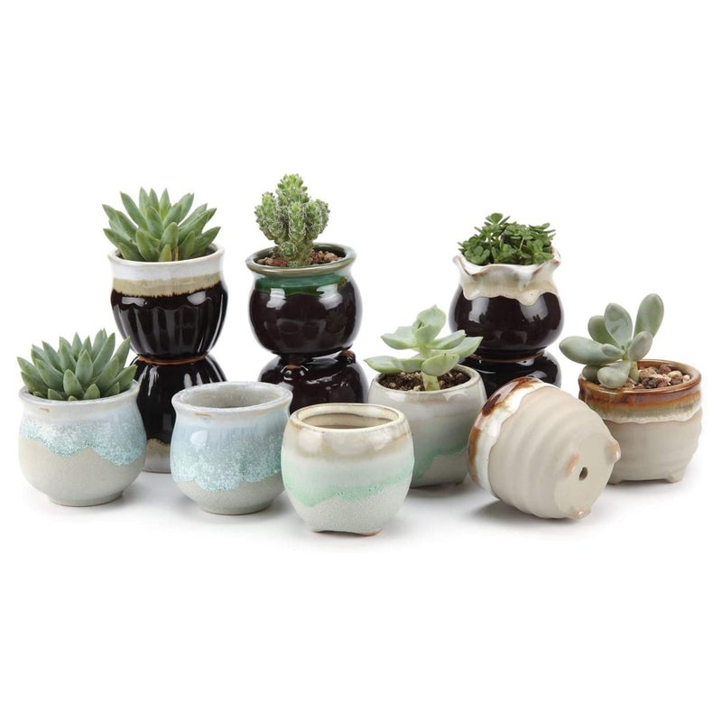 T4U Small Ceramic Succulent Pots with Drainage - Set of 12, Mini Pots for Plants, Home and Office Decor, Plant Lover Gifts for Women - Image 1